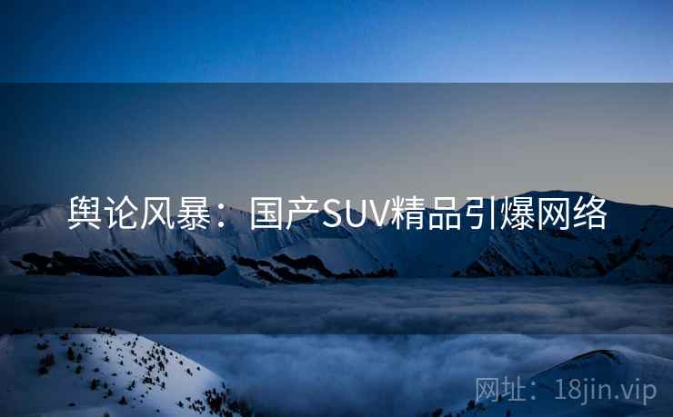 舆论风暴：国产SUV精品引爆网络